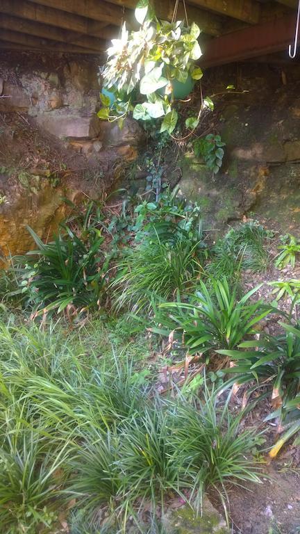 Linley House Bed and Breakfast Sydney Exteriör bild