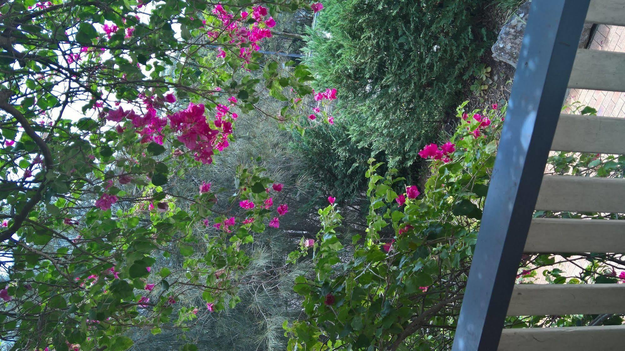 Linley House Bed and Breakfast Sydney Exteriör bild
